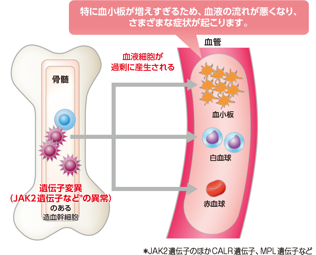 図